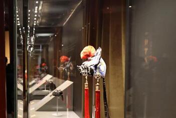 45ͯɽ̫ԭչ չйͳ֮